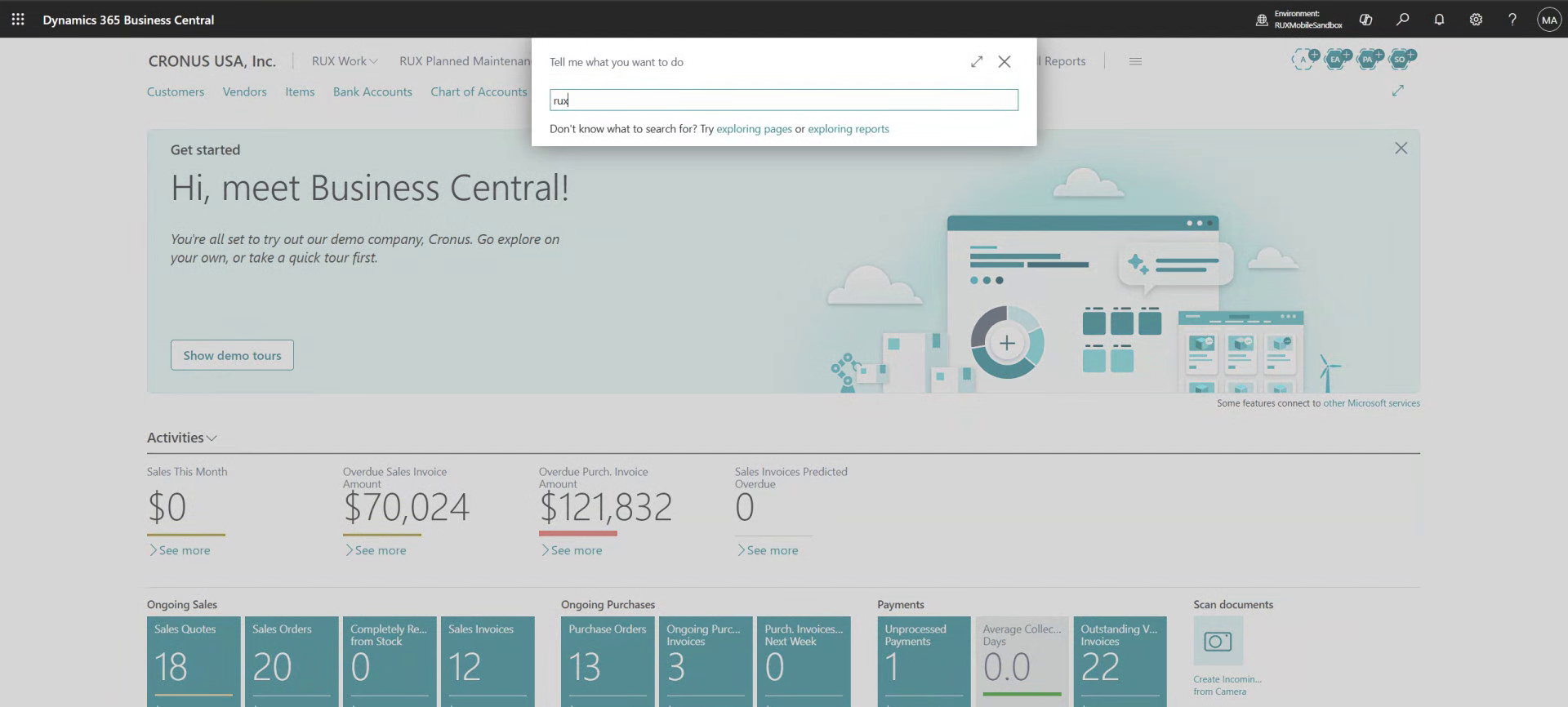 Searching for RUX Work Setup in Business Central